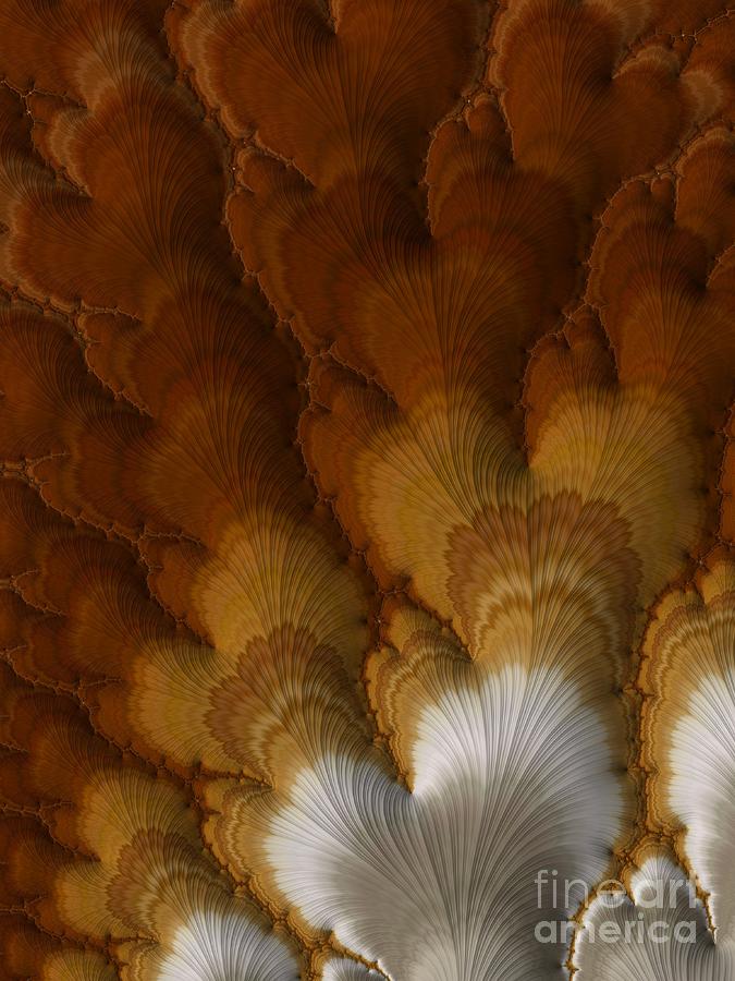 Turkey Tail Feathers  Digital Art by Heidi Smith
