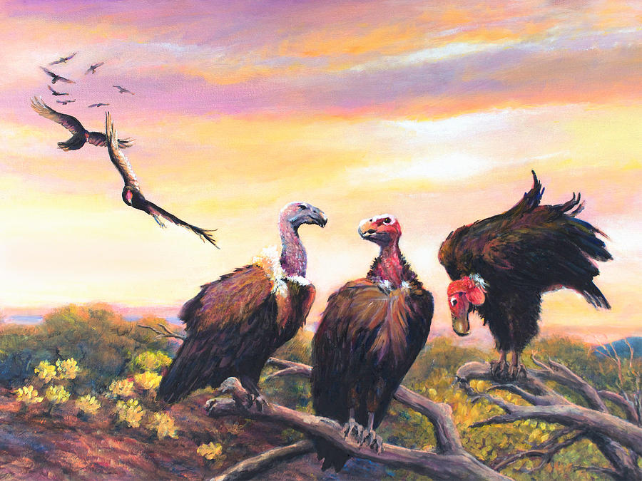 Bird Painting - Turkey Vulture Coming To Roost by Charles Wallis