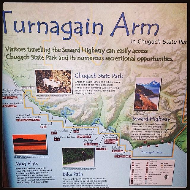 Turnagain Arm. Named After Captain Photograph by Adam  Meier
