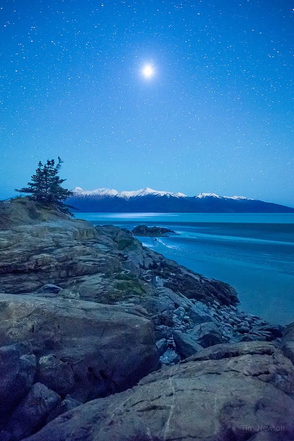 Turnagain Moon Photograph by Tim Newton