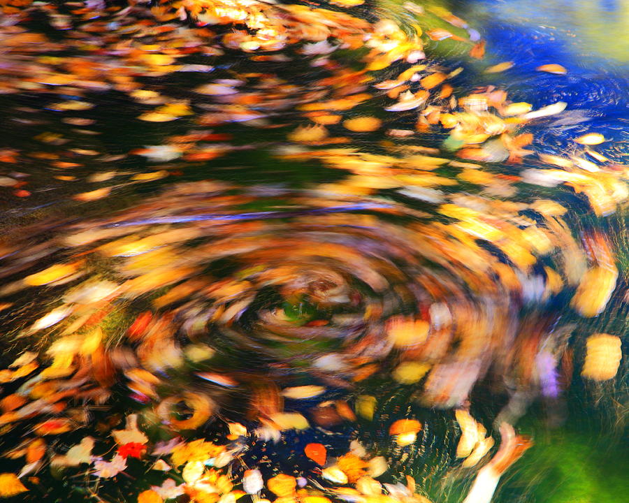 Turning Leaves Photograph by Roupen Baker