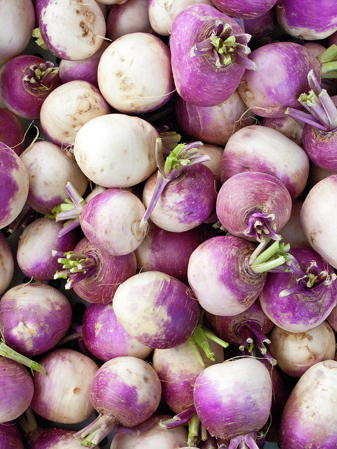 Turnips At A Farmers Market Photograph by Bill Boch