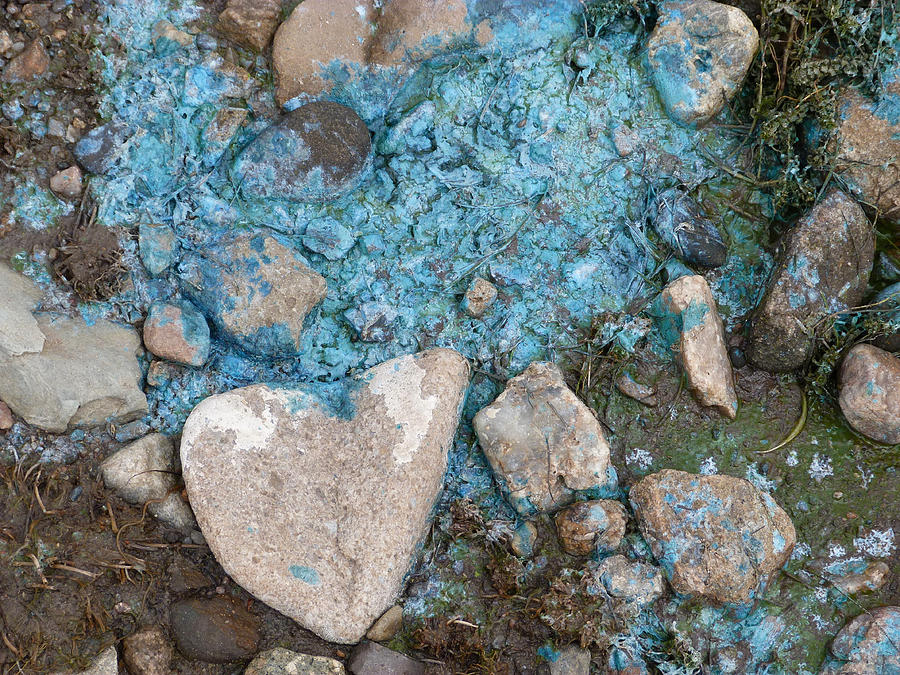 Nature Photograph - Turquoise Algea by Susan Porter