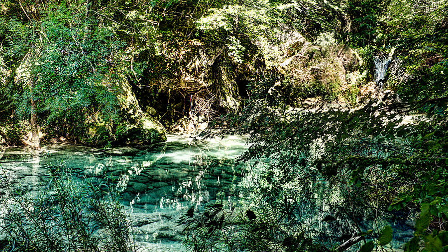 Turquoise Forest Pond on a Summer Day No1 Photograph by Weston Westmoreland