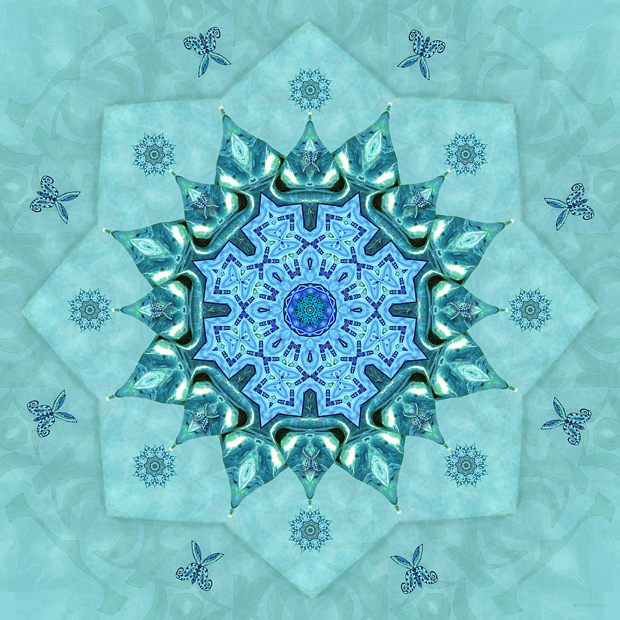 Turquoise Nature Mandala Digital Art by Deborah Smith