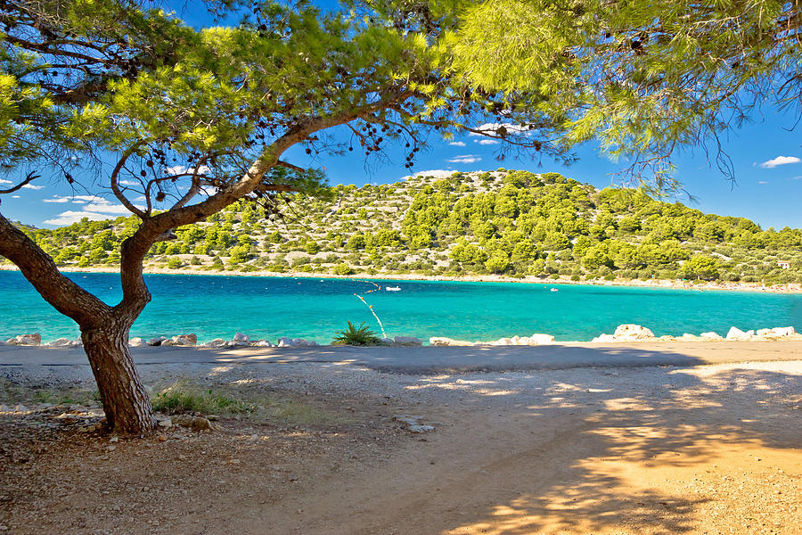 Turquoise pine tree beach of Croatia Photograph by Brch Photography