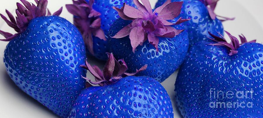 Blue Strawberries Photograph - Bright Turquoise Strawberries with Purple Leaves by Barbara A Griffin
