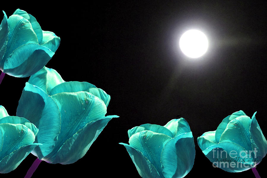 Turquoise Tulips in the Moonlight Photograph by Kathie McCurdy