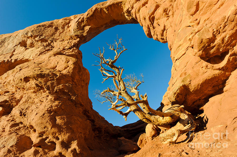 Turret Arch, Arches National Park Photograph by John Shaw