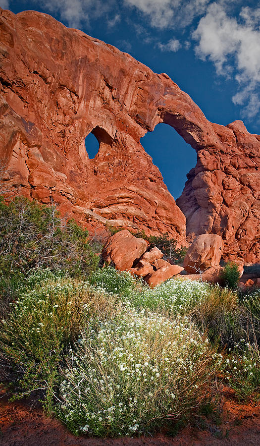 Arches National Park Photograph - Turret Arch by Susan Candelario