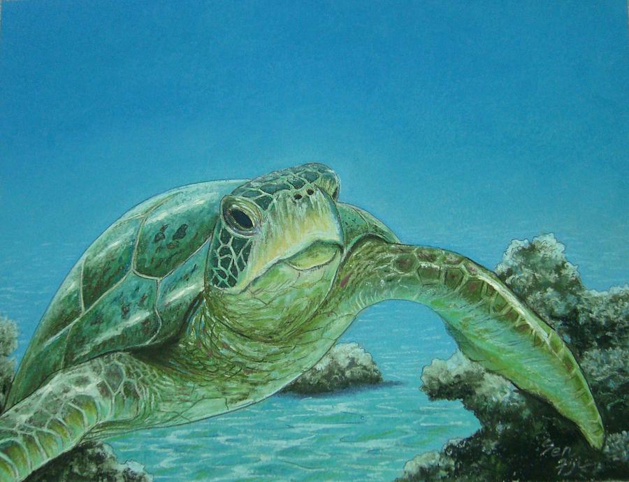 Turtle Between Rocks Painting by Pravin Sen - Fine Art America