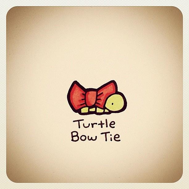 Turtle Bow Tie Photograph by Turtle Wayne