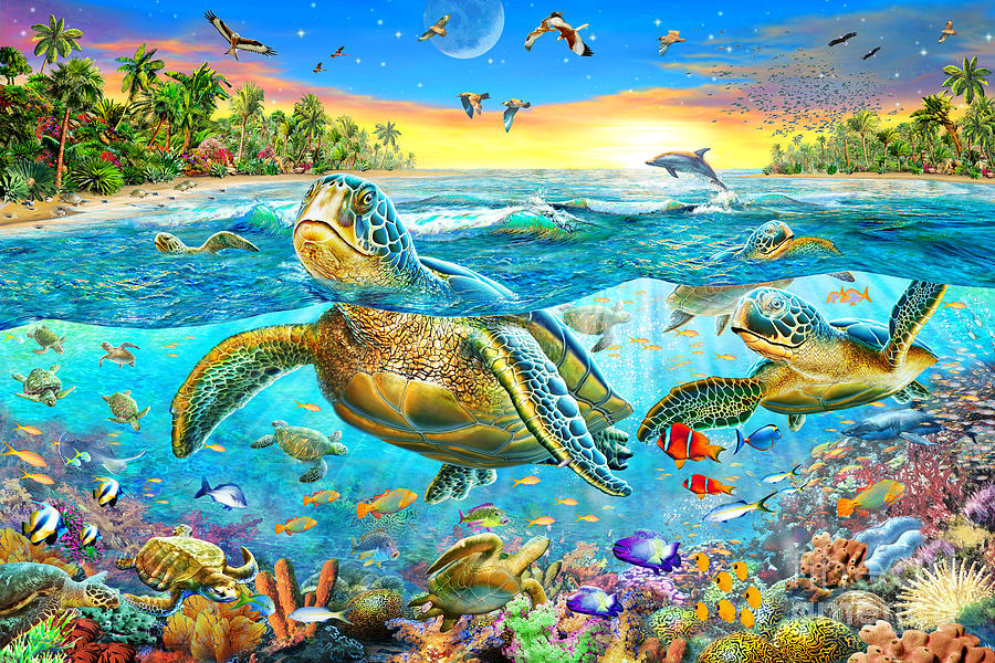 Turtle Cove Digital Art by MGL Meiklejohn Graphics Licensing