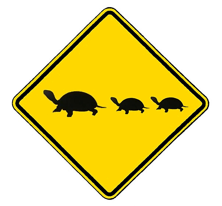Turtle Crossing Sign Digital Art by Marvin Blaine