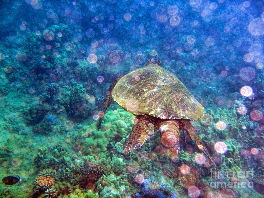 Turtle Fantasy Photograph by Peggy Hughes