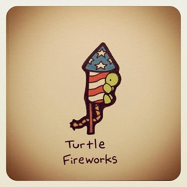 Turtle Fireworks Photograph by Turtle Wayne