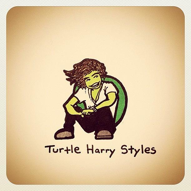 Turtle Harry Styles Photograph by Turtle Wayne