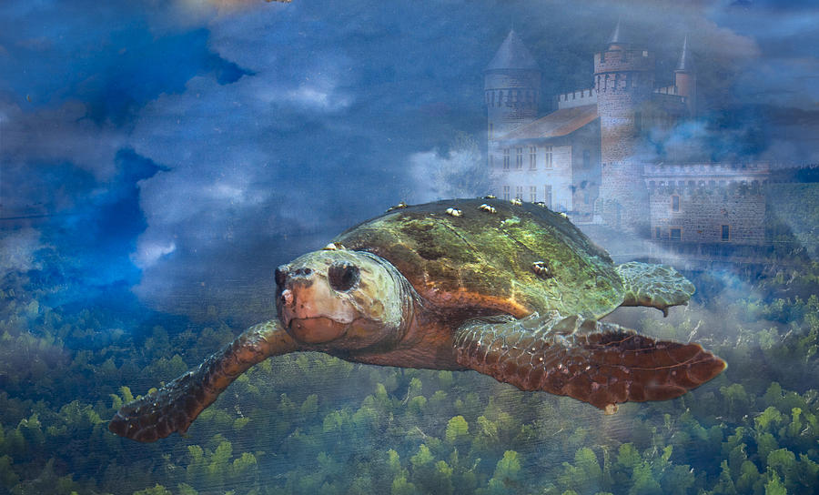 Turtle in Atlantis Photograph by Sandra Edwards