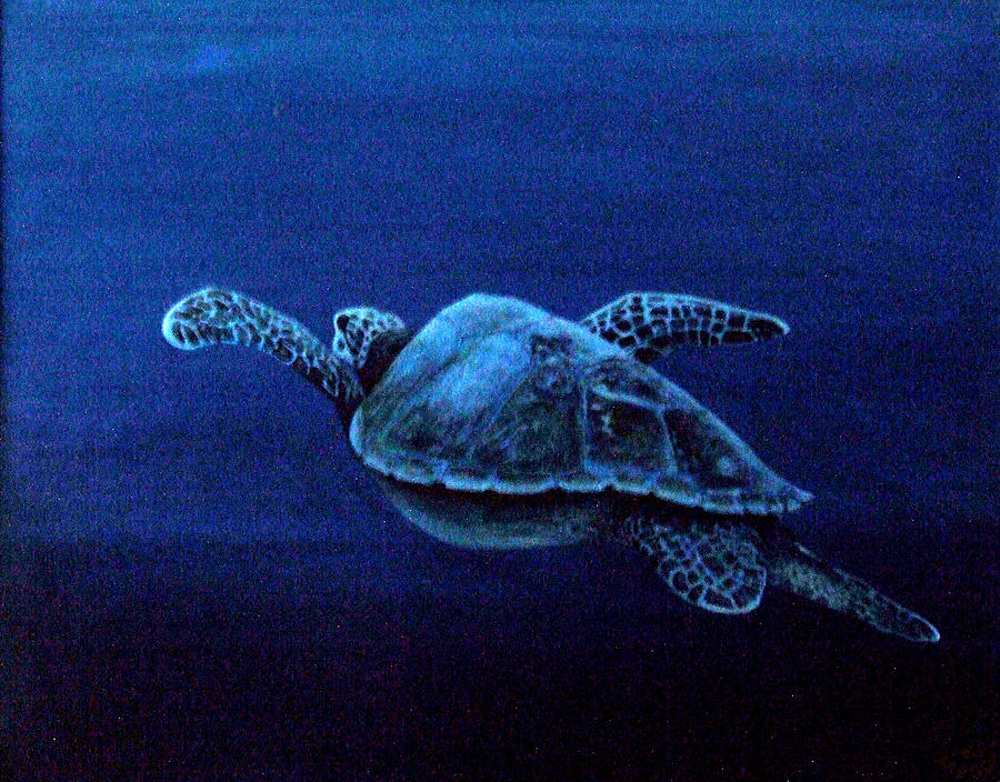Turtle in The Red Sea Painting by Mackenzie Moulton