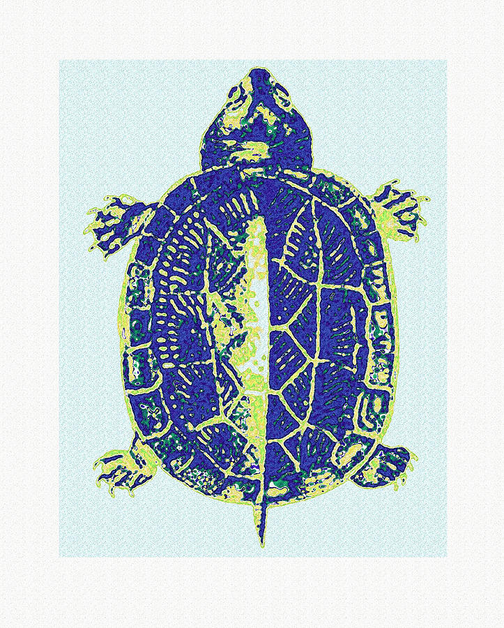 Turtle Digital Art by Jane Schnetlage