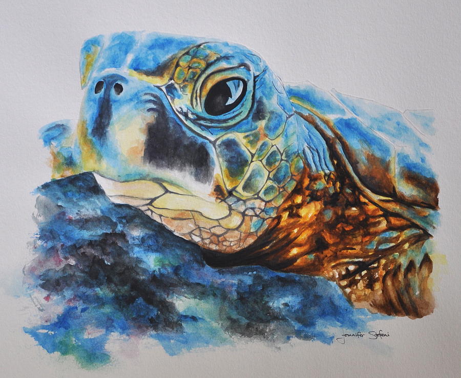 Turtle Painting By Jennifer Stefani - Fine Art America