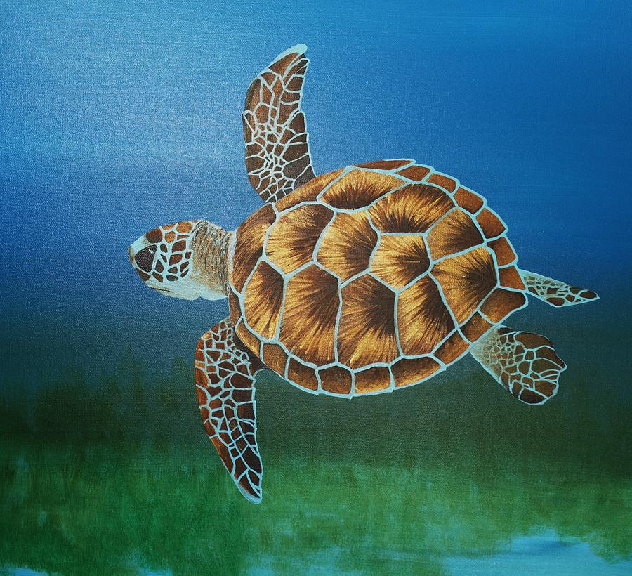 Черепаха средняя группа. Морская черепаха. Черепаха морская детские. Морская черепаха гуашью. Морские обитатели черепахи разноцветные.