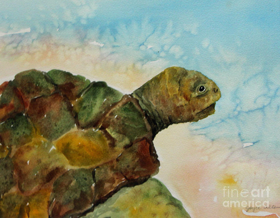 Turtle Painting By Joyce Allen - Fine Art America