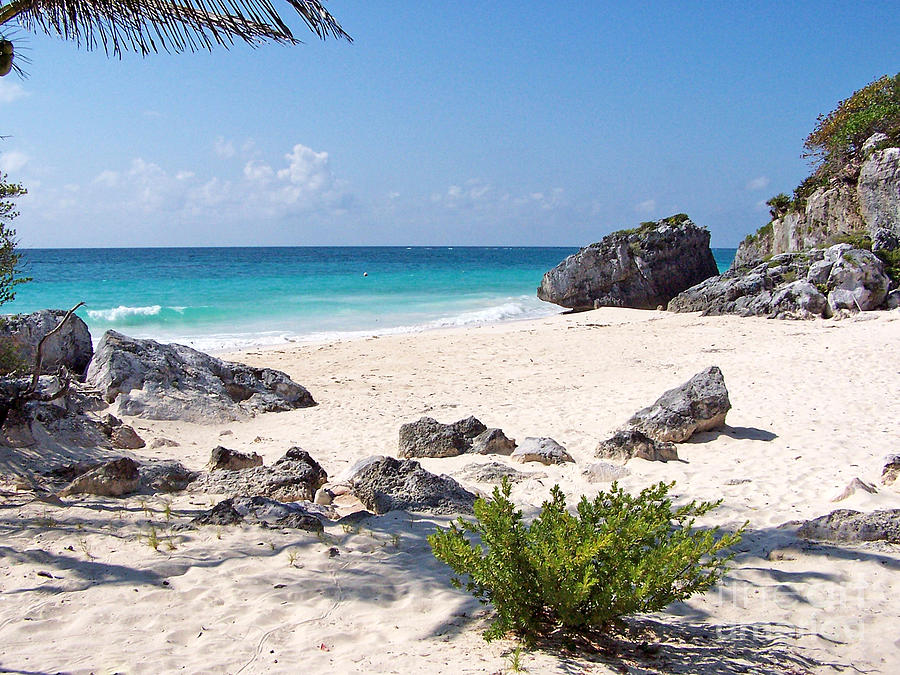 Turtle Nesting Area at Tulum Photograph by Tom Doud
