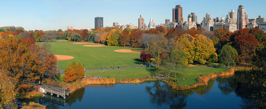 Turtle Pond Central Park Photograph by Yue Wang
