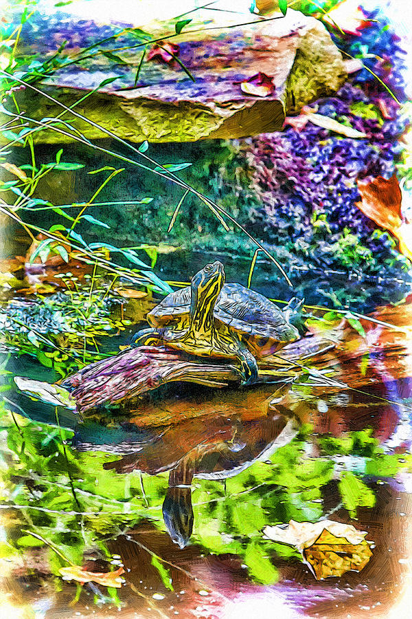 Turtle Pond Fall Mixed Media by John Haldane