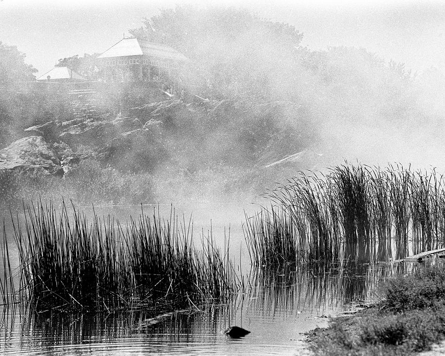 Turtle Pond Fog Photograph
