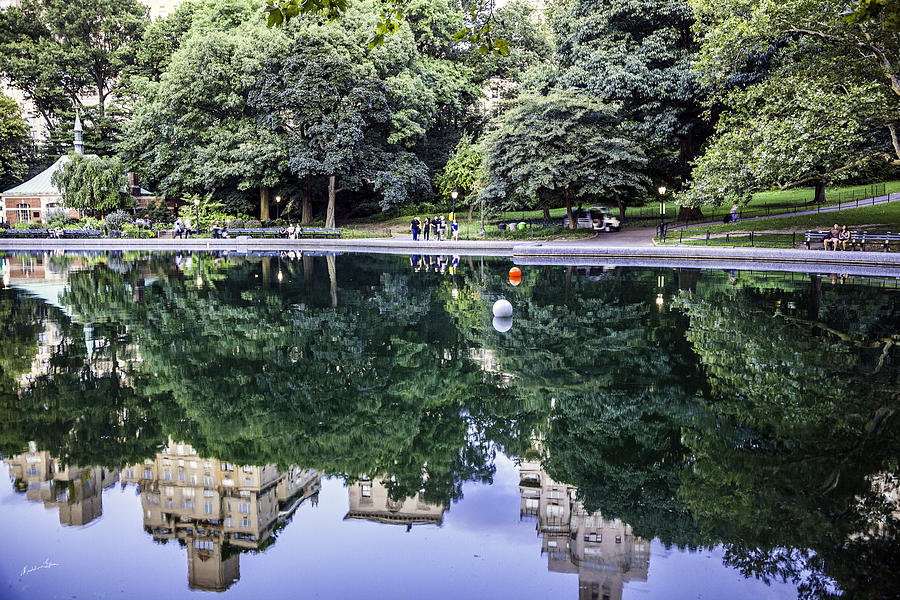 Turtle Pond Reflections - Central Park - NY Photograph by Madeline Ellis
