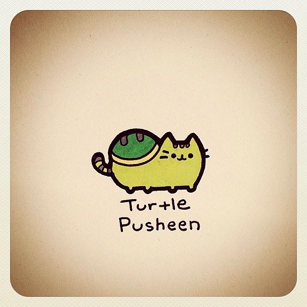 pusheen turtle