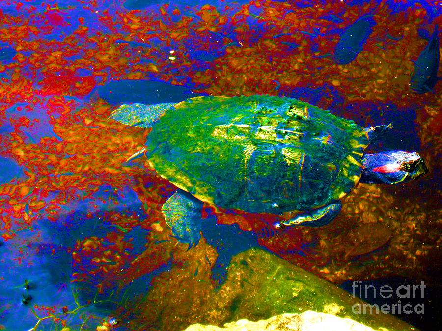 Turtle. Red and blue Digital Art by Oksana Semenchenko