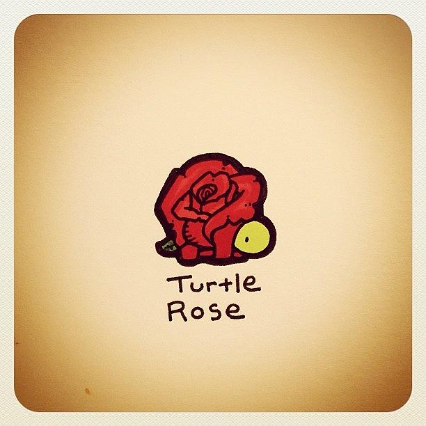 Turtle Rose Photograph by Turtle Wayne