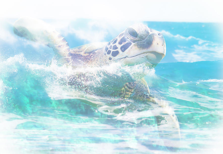 Turtle Surf Photograph by Athena Mckinzie