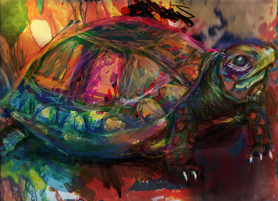Reptile Digital Art - Turtle Time by James Thomas
