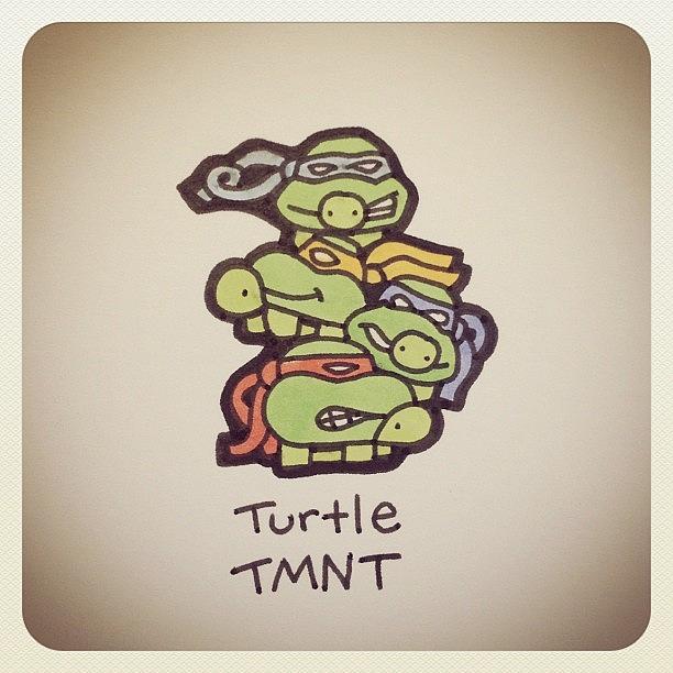 Turtle Tmnt #turtleadayjune Photograph by Turtle Wayne