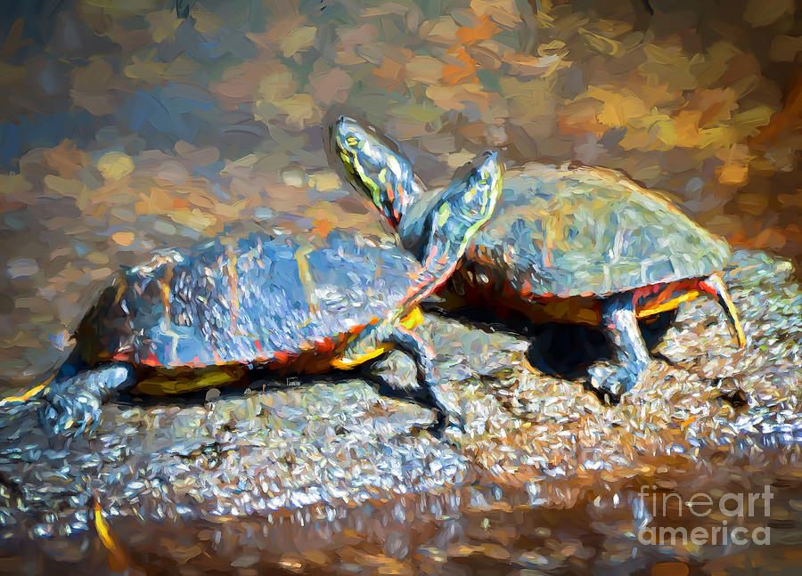 Turtle Twosome - Digital Painting Photograph by Kerri Farley
