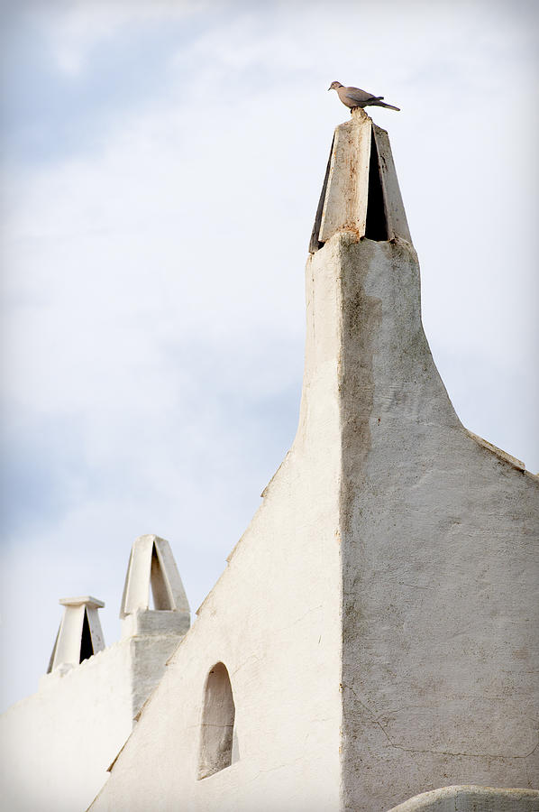 Mediterranean vintage chimeny architecture in Menorca - Turtledove in the top Photograph by Pedro Cardona Llambias
