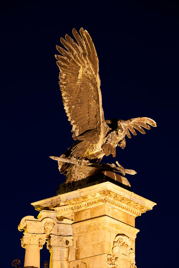 Turul Bird Statue at Night in Budapest Photograph by Artur Bogacki