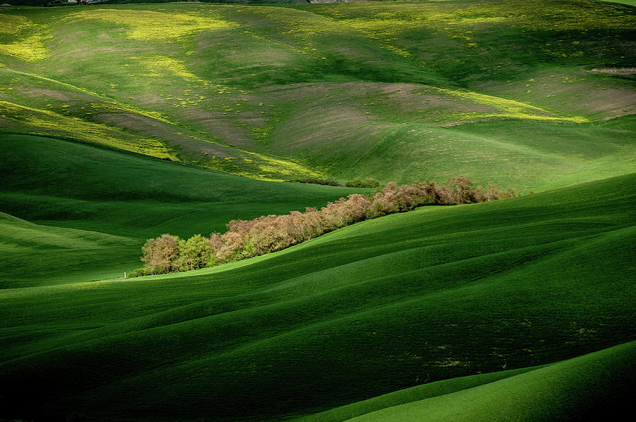 Tuscan Countryside Photograph by Massimo Pelagagge