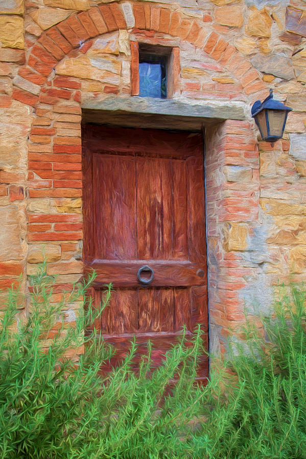 Tuscan Door Photograph by Shirley Radabaugh