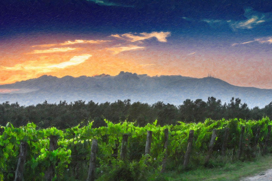 Tuscan Evening in the Vinyard Itl4280 Painting by Dean Wittle