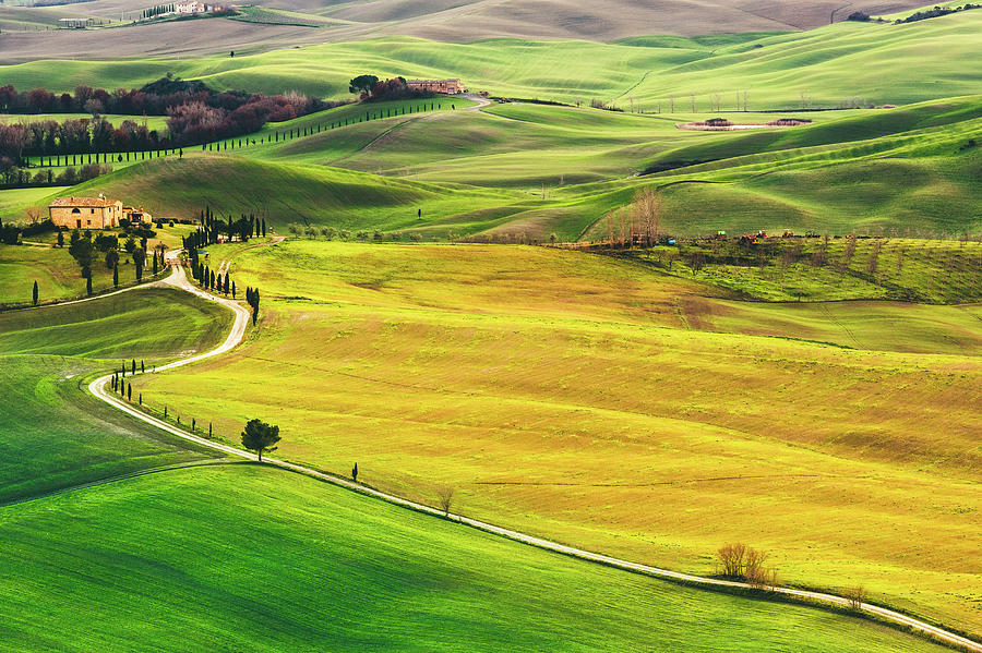 Tuscan Hills Photograph by Deimagine