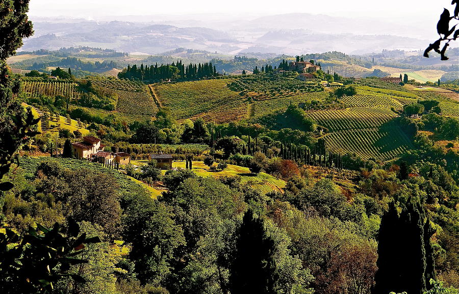 Tuscan Hills Photograph by Ira Shander