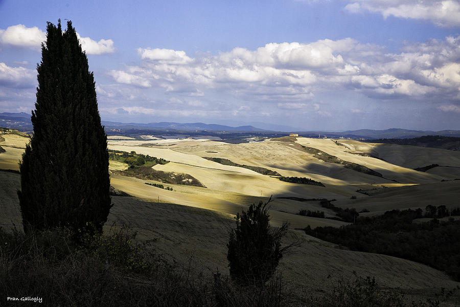Tuscan Landscape Photograph by Fran Gallogly