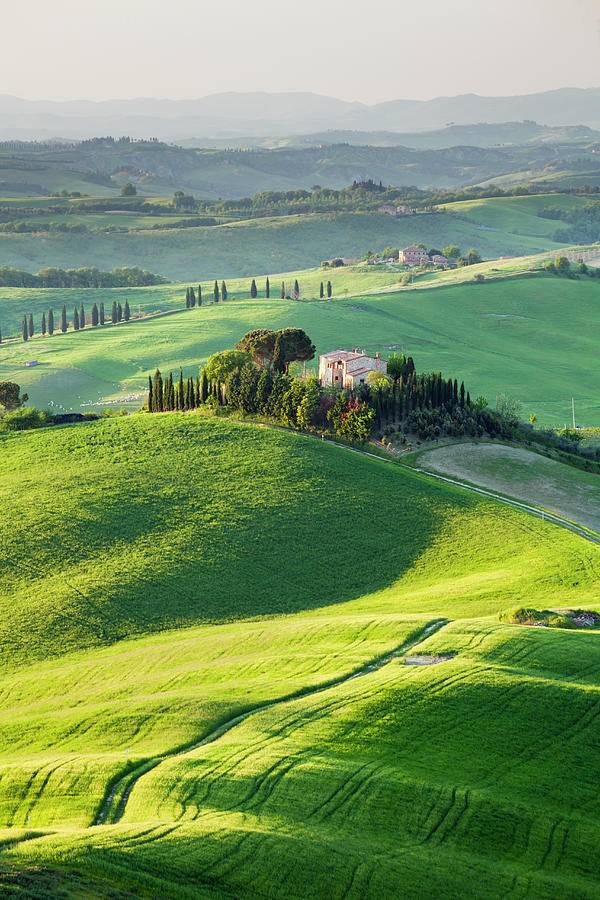 Tuscan Landscape Photograph by Jorg Greuel