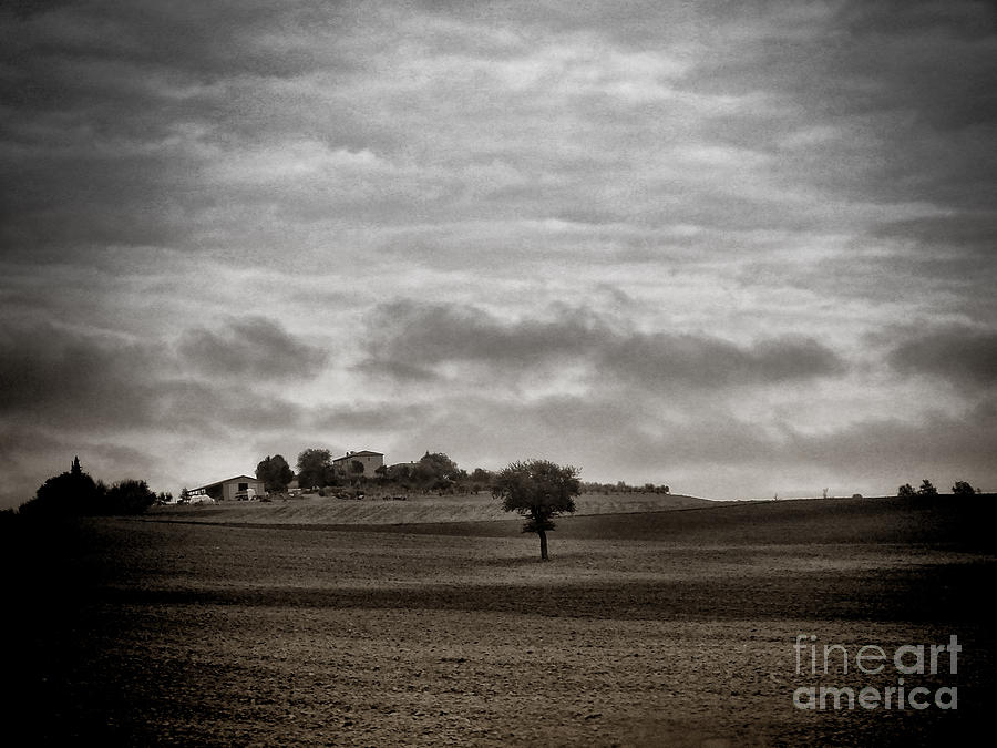 Black And White Photograph - Tuscan Landscape  by Karen Lindale