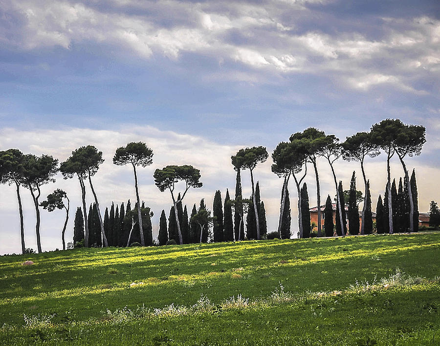 Tuscan Landscape Photograph by Marion McCristall